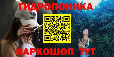 сатива Заводоуковск